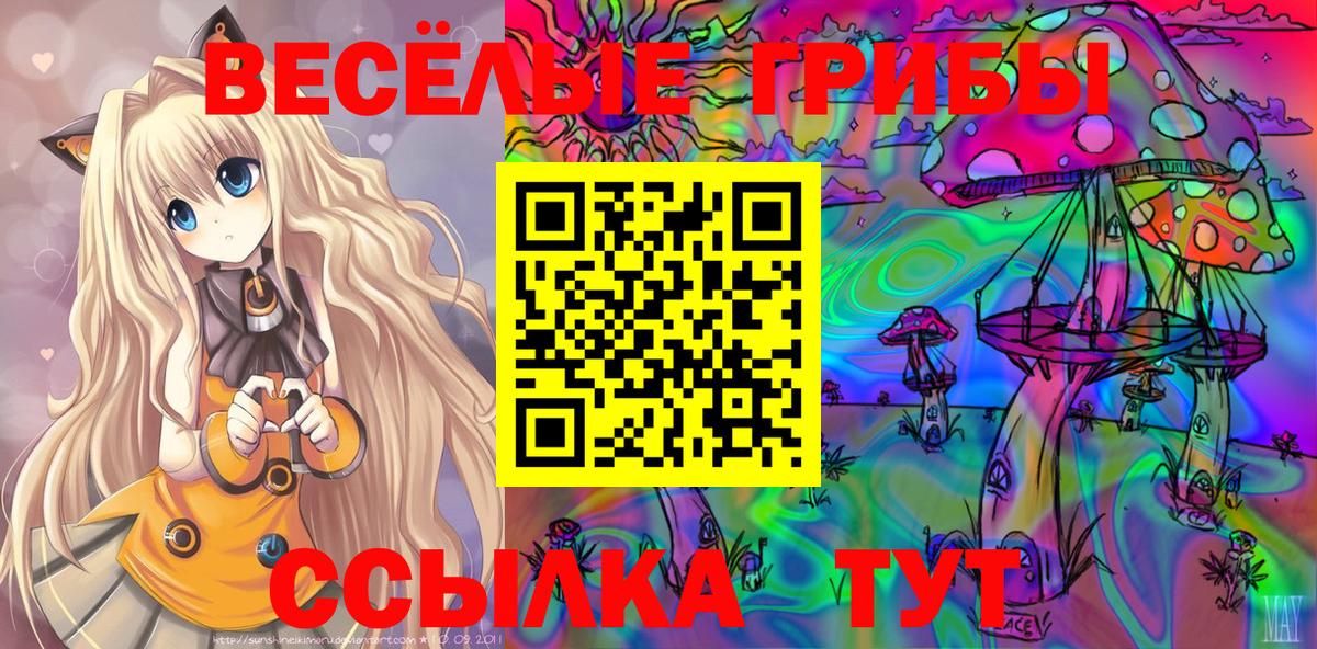 Галлюциногенные грибы GOLDEN TEACHER Новоуральск