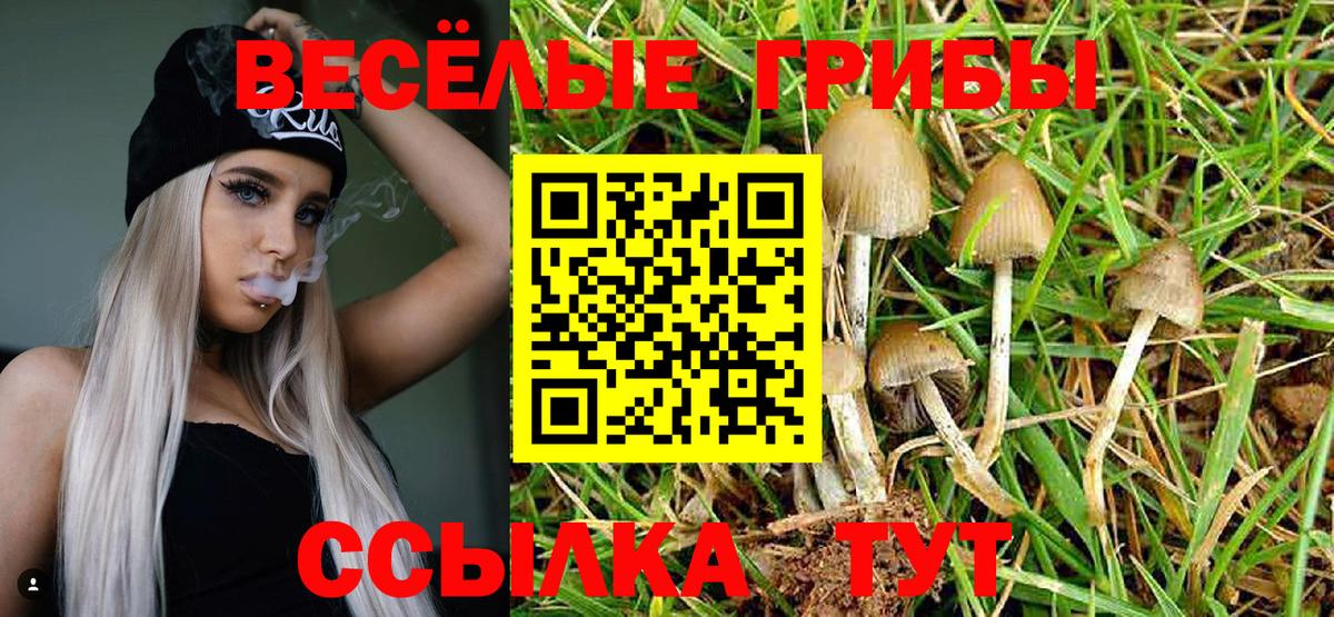 Псилоцибиновые грибы GOLDEN TEACHER  купить   Новоуральск  Вход с VPN 